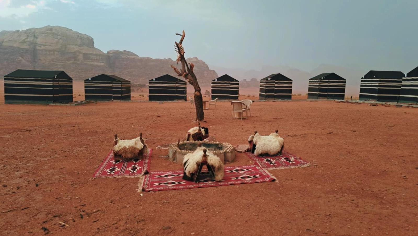 Wadi Rum Bedouin Heart Camp Buitenkant foto